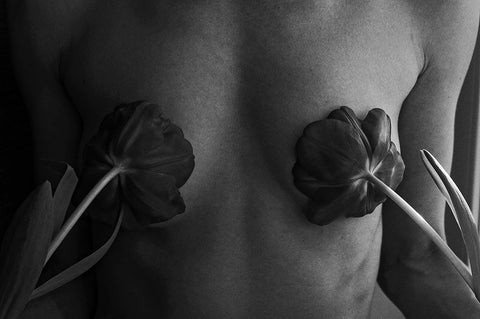 Tulips From Amsterdam